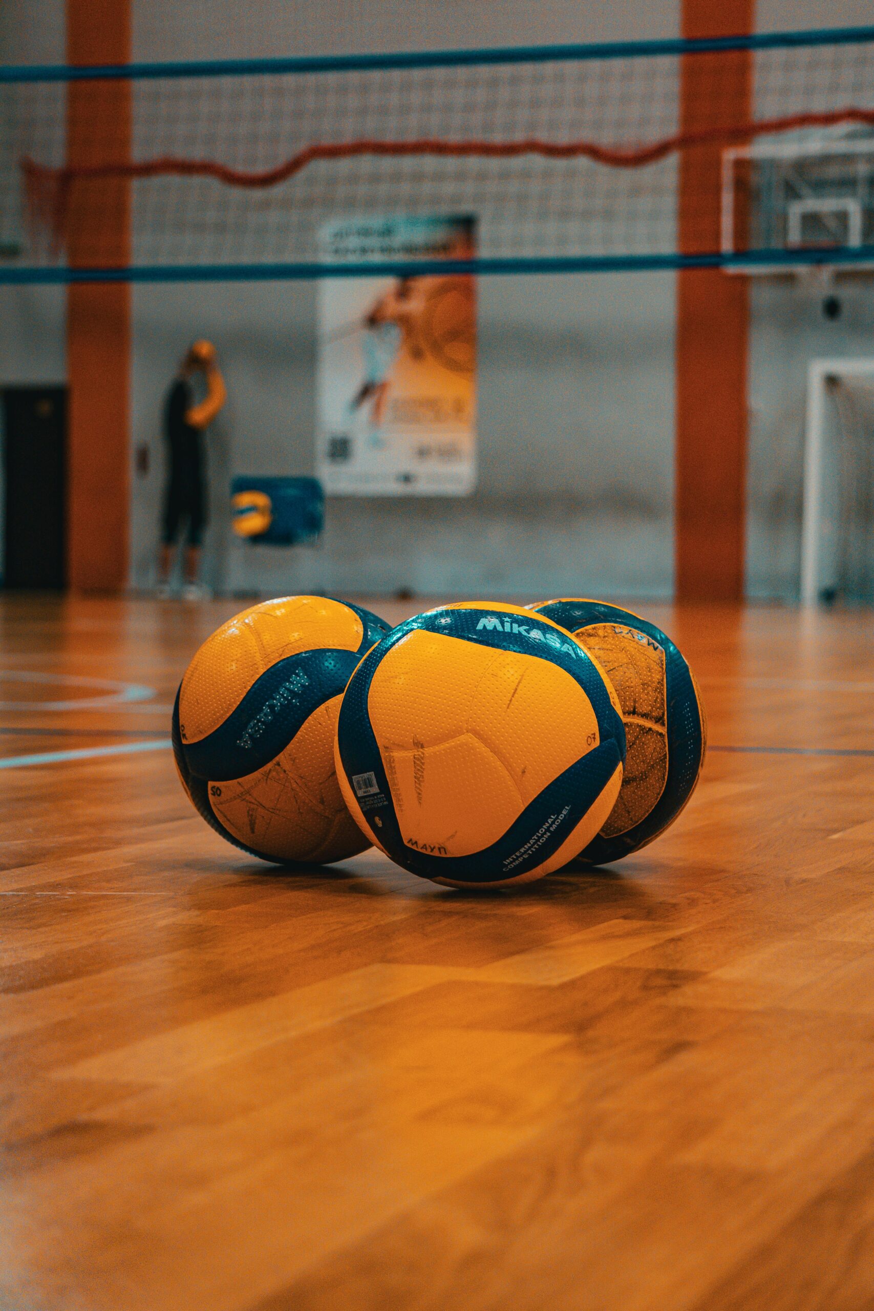 pexels-oleksandr-plakhota-1270583835-30290766